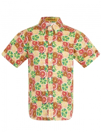 Citrus Suprise Premium Boys Shirt