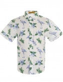 Pelican Bay Luxury Boy Shirts