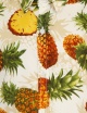 Pineapple Fun Luxury Boys Shirt