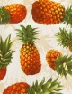Pineapple Fun Luxury Boys Shirt
